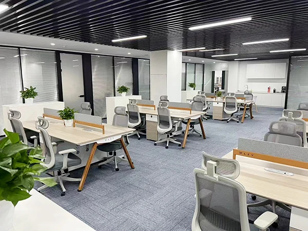 Commercial office fit-out project, light wood open workspace with light grey mesh ergonomic office chairs