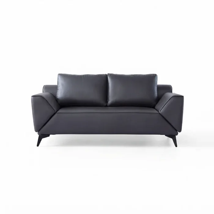 leather-sofa-with-modern-metal-bases-1